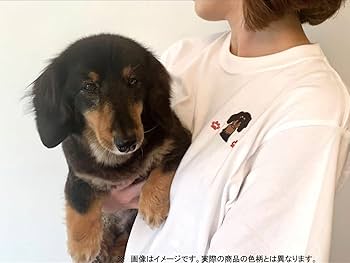 Amazon.co.jp: ニックナック わんこTシャツ L 柴犬(茶) 02939-03